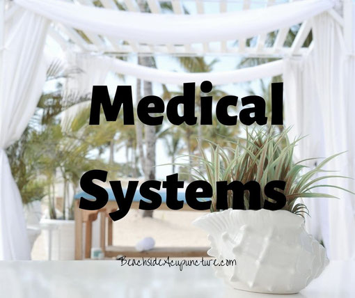 Medical Systems on the Beachside Blog