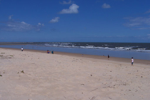 FOTO 5:Non te lo aspetteresti, ma la malaria va anche al mare.