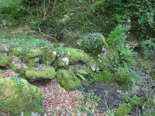 Feisternau - Dittingen/BL