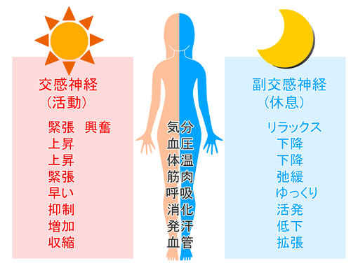 自律神経失調症の改善整体｜東京渋谷/横浜/船橋/名古屋/札幌