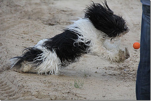 Lieblingsfoto Sept. 2013: Ooooohweiiiaaa...  brrrrremsen... 