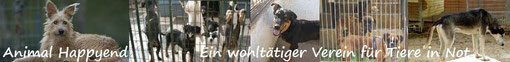Animal Happyend - Ein wohltätiger Verein für Tiere in Not - Penny kam über diesen Verein zu New Graceland