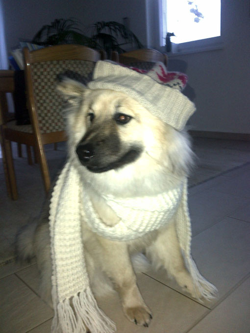 Akemi als Model!