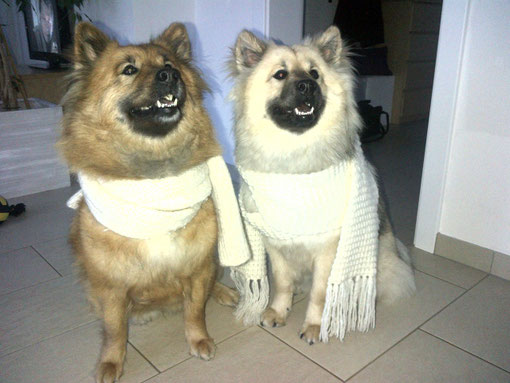 Hina und Akemi im Partnerlook!