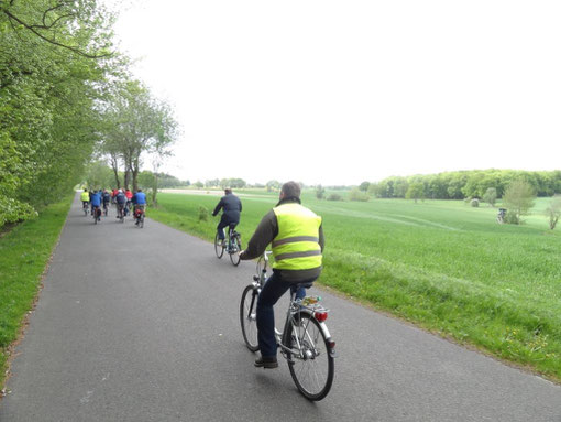 Lüneburger Heide - Oldendorfer Totenstatt (c) Alte Schule Bokel