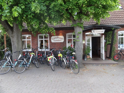 Lüneburger Heide - Oldendorfer Totenstatt (c) Alte Schule Bokel
