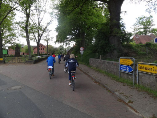 Lüneburger Heide - Oldendorfer Totenstatt (c) Alte Schule Bokel