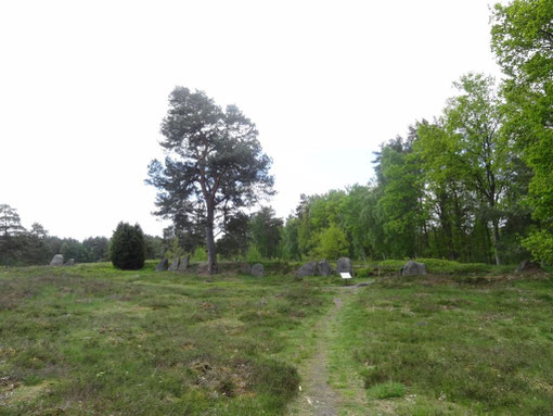 Lüneburger Heide - Oldendorfer Totenstatt (c) Alte Schule Bokel