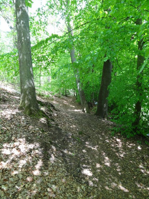 Lüneburger Heide - Oldendorfer Totenstatt (c) Alte Schule Bokel