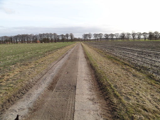 Reisebericht Radfahren Harrendorf Finnaerberg Finna Bramstedt Kransmoor Bokel Langenfelde