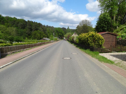 Lüneburger Heide - Oldendorfer Totenstatt (c) Alte Schule Bokel