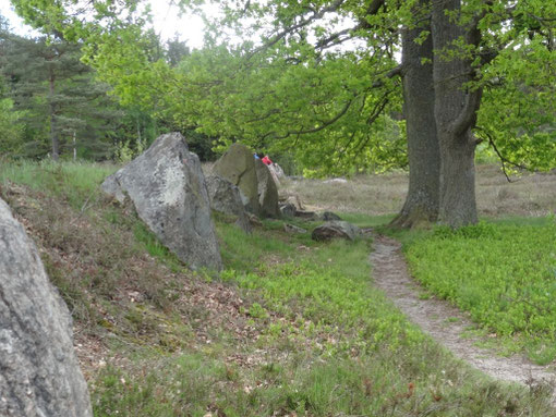 Lüneburger Heide - Oldendorfer Totenstatt (c) Alte Schule Bokel