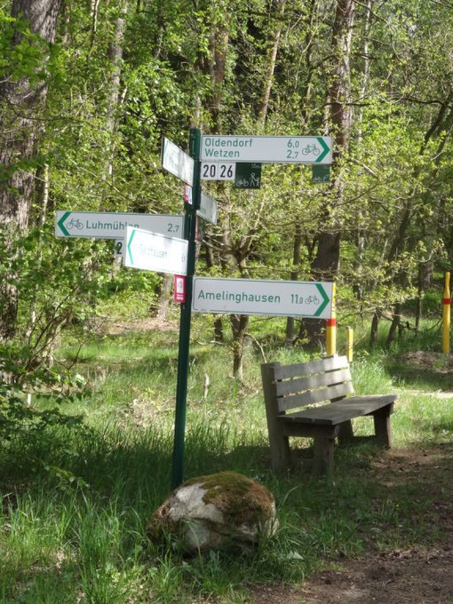 Lüneburger Heide - Oldendorfer Totenstatt (c) Alte Schule Bokel