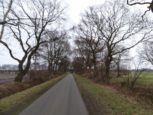 Weg bei Bokel Langenfelde Kranzmoor Heise Oberheise Hollen Hollenerheide Hollenerkamp