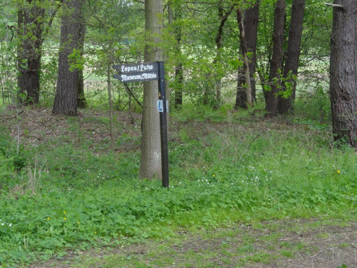 Lüneburger Heide - Oldendorfer Totenstatt (c) Alte Schule Bokel