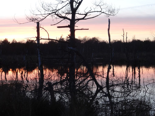 Abendstimmung Großes Moor bei Bokel Langenfelde Kranzmoor Heise Oberheise Hollen Hollenerheide Hollenerkamp