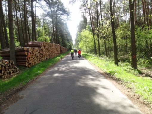 Lüneburger Heide - Oldendorfer Totenstatt (c) Alte Schule Bokel