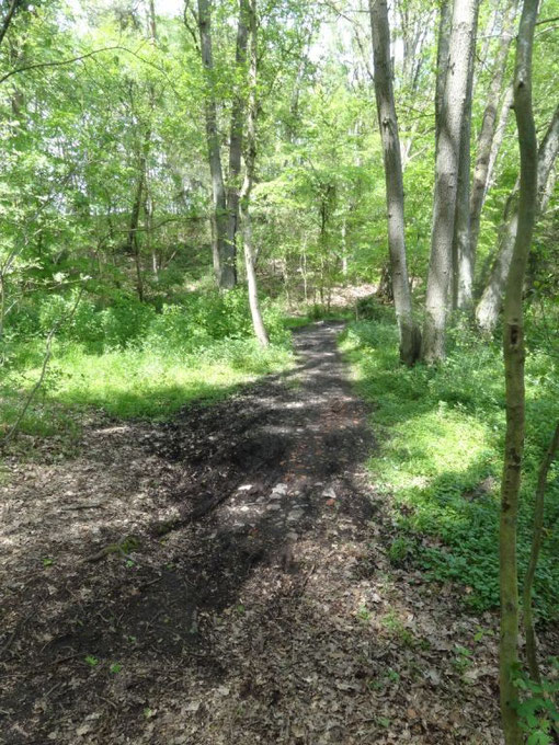 Lüneburger Heide - Oldendorfer Totenstatt (c) Alte Schule Bokel