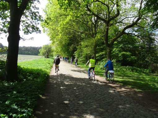 Lüneburger Heide - Oldendorfer Totenstatt (c) Alte Schule Bokel