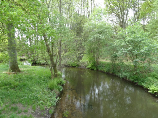 Lüneburger Heide - Oldendorfer Totenstatt (c) Alte Schule Bokel