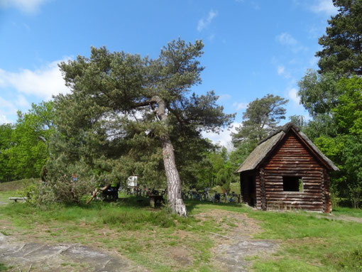 Lüneburger Heide - Oldendorfer Totenstatt (c) Alte Schule Bokel