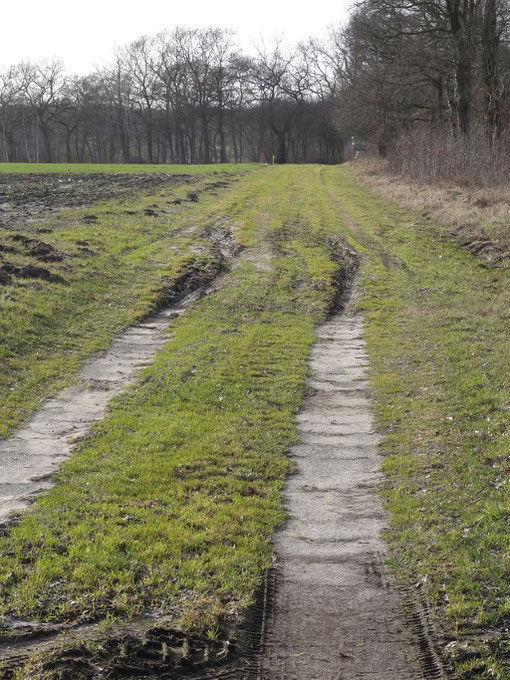 Reisebericht Radfahren Harrendorf Finnaerberg Finna Bramstedt Kransmoor Bokel Langenfelde