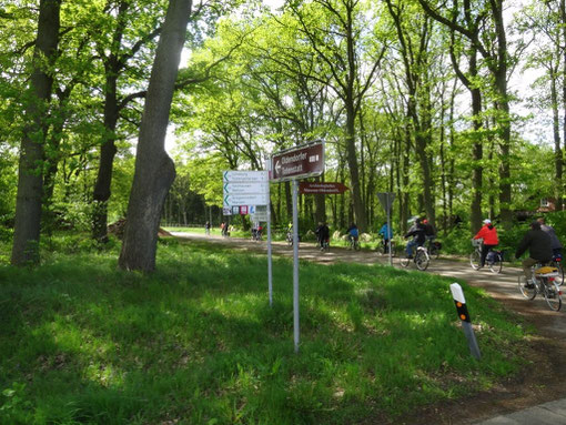 Lüneburger Heide - Oldendorfer Totenstatt (c) Alte Schule Bokel