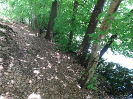 Lüneburger Heide - Oldendorfer Totenstatt (c) Alte Schule Bokel