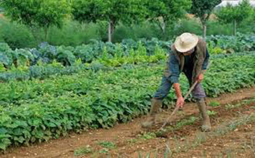 photo www.auradeco.com/jardin