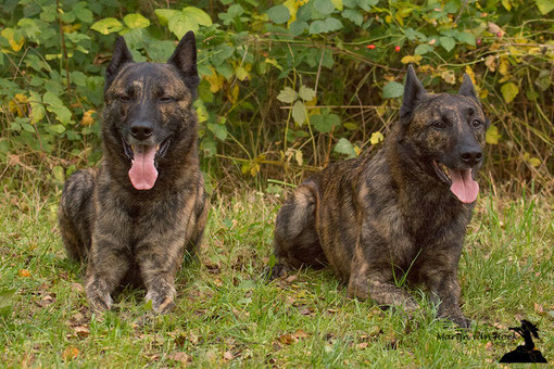 Faido en Ferro-Flinck met Frasnay's flair, inmiddels bekend als de brommende broers. ;-)