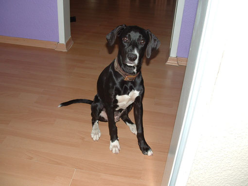 Luca