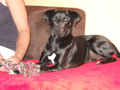 Zancho