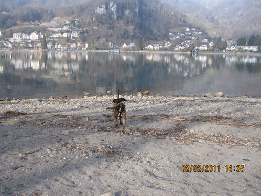 Indra