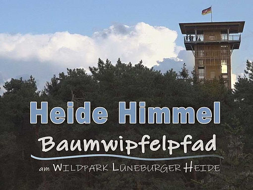 Oertzewinkel Camping - Ausflugsziel Baumwipfelpfad