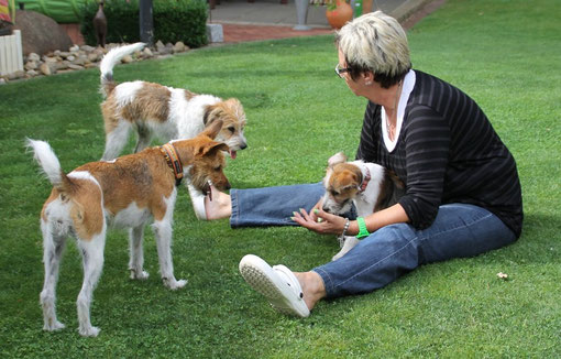 Amine, Ayfa, Josie und Betty