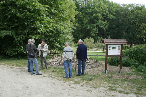 Foto: B. Schonhöft, Holdorf