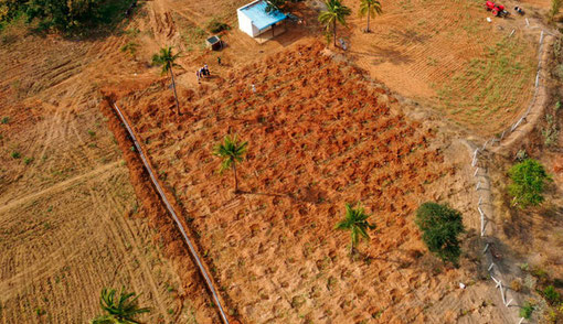 On this area Dibella realizes the reforestation project