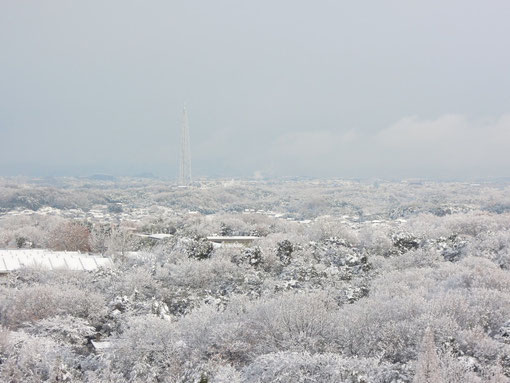 一面の雪景色です。瀬戸市にある電波塔が見られますね。その向こうには雪に埋まったギフチョウの蛹が春を待っています。 COOLPIX P300