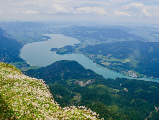 Sehenswürdigkeit am Wolfgangsee