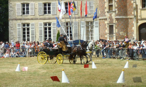 Christian Mettler impegnato nel concorso a ostacoli nel parco del castello di Saint-Agil