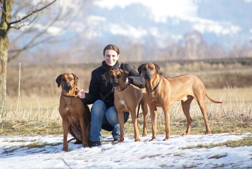 Unsere Hunde