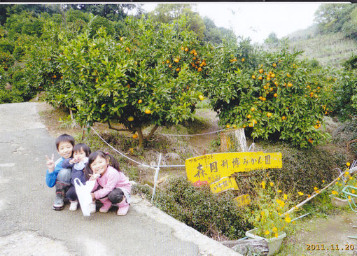 フルーツランド びわこもりやまフルーツランド｜守山市の農業体験型レジャー施設