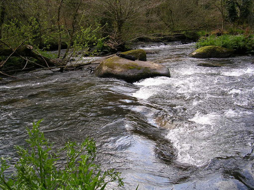 Rivière de l'Odet