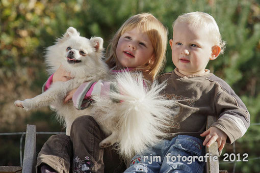 Spitze sind absolut liebenswerte Familienhunde, auf dem Foto, unsere Hündin "Xenja" mit meinen Kindern.