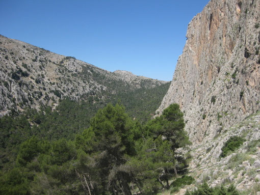 Paredes de Leiva