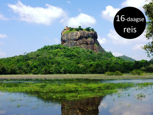 Uitzicht op de bekende Lion Rock Sri Lanka 
