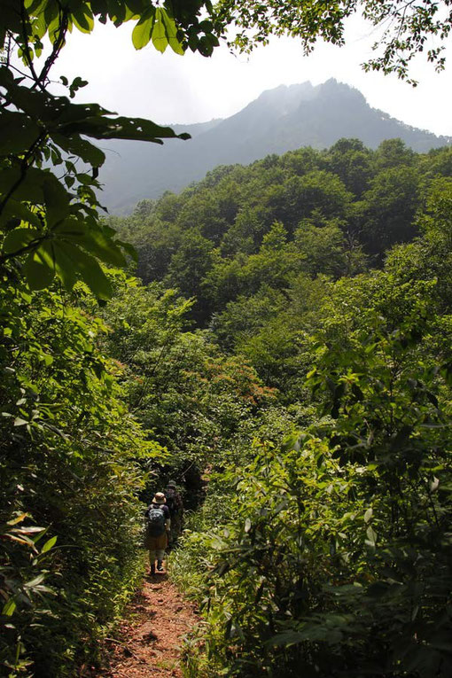 遊歩道と案内にあるが、どう見てもこれは登山道です。きつくはないが、暑かった〜