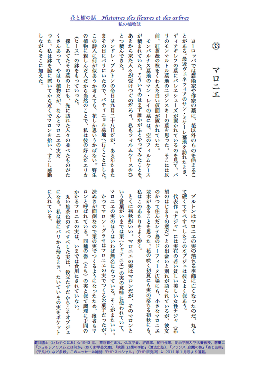 花と樹の話33/マロニエ