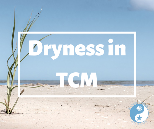 Dryness in TCM over a dry beach on the Beachside Community Acupuncture blog