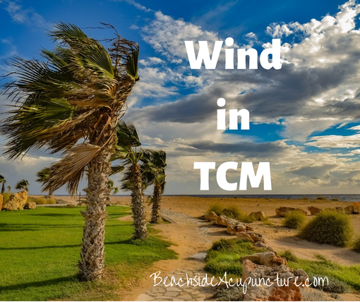 Wind in TCM over a beach with palm trees blowing in the breeze, BeachsideAcupuncture.com